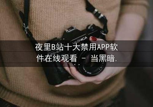 夜里B站十大禁用APP软件在线观看 - 当黑暗中的APP解锁禁忌之门,你敢点击吗?