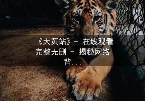 《大黄站》- 在线观看完整无删 - 揭秘网络背后的隐秘交易