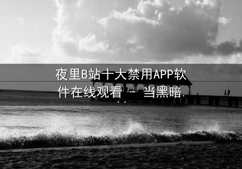 夜里B站十大禁用APP软件在线观看 - 当黑暗中的APP解锁禁忌之门,你敢点击吗?