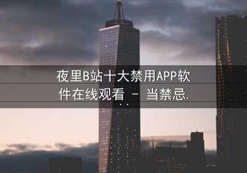 夜里B站十大禁用APP软件在线观看 - 当禁忌软件解锁深夜的致命诱惑