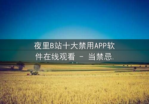 夜里B站十大禁用APP软件在线观看 - 当禁忌APP解锁你的深夜欲望
