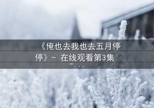 《俺也去我也去五月停停》- 在线观看第3集 - 当亲情与梦想在五月戛然停驻