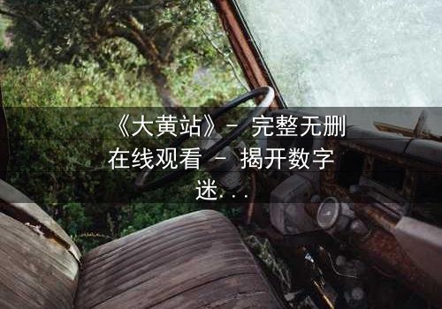 《大黄站》- 完整无删在线观看 - 揭开数字迷宫的致命诱惑