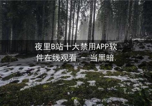 夜里B站十大禁用APP软件在线观看 - 当黑暗中的秘密APP解锁,你将直面人性的深渊