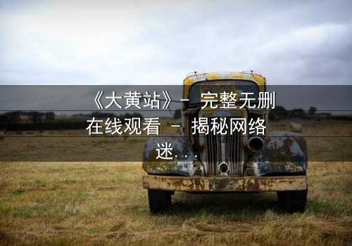 《大黄站》- 完整无删在线观看 - 揭秘网络迷踪背后的致命陷阱