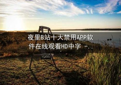 夜里B站十大禁用APP软件在线观看HD中字 - 揭开数字禁忌的惊悚面纱