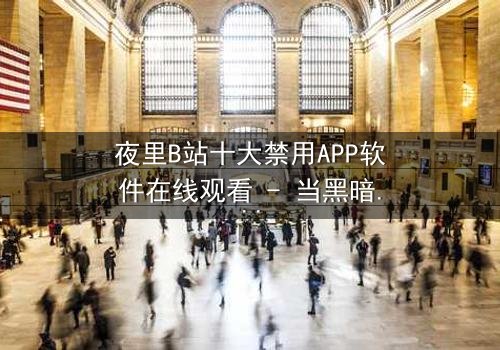 夜里B站十大禁用APP软件在线观看 - 当黑暗中的APP解锁禁忌之门