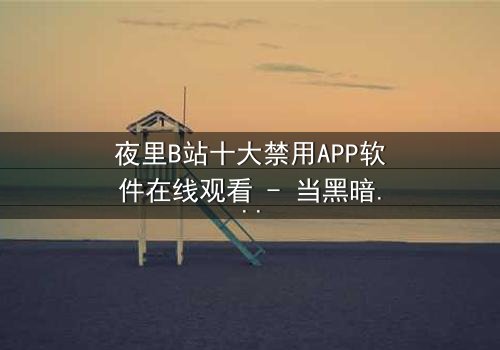 夜里B站十大禁用APP软件在线观看 - 当黑暗中的APP解锁了禁忌之门