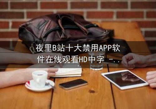 夜里B站十大禁用APP软件在线观看HD中字 - 揭秘深夜禁播的惊悚真相