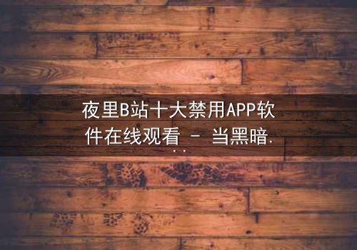 夜里B站十大禁用APP软件在线观看 - 当黑暗应用解锁禁忌之门,你敢点击吗?