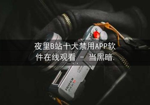 夜里B站十大禁用APP软件在线观看 - 当黑暗APP解锁禁忌,你敢点开吗?