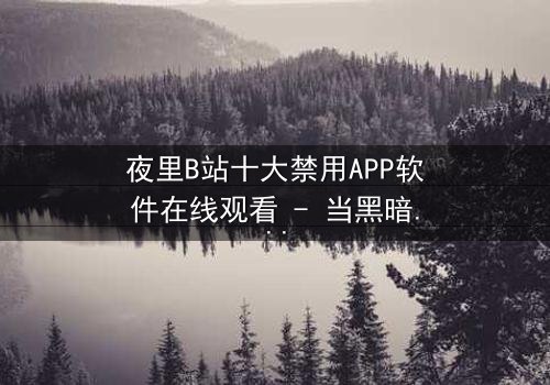 夜里B站十大禁用APP软件在线观看 - 当黑暗中的数字诅咒悄然降临