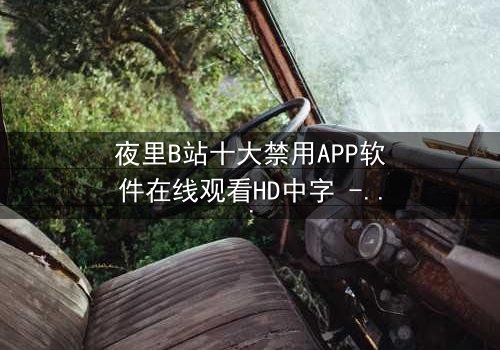 夜里B站十大禁用APP软件在线观看HD中字 - 揭开深夜禁忌的惊悚面纱