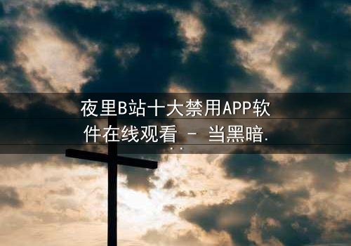 夜里B站十大禁用APP软件在线观看 - 当黑暗中的秘密APP解锁你的命运