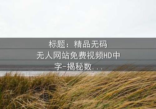 标题:精品无码无人网站免费视频HD中字-揭秘数字世界的隐秘交易