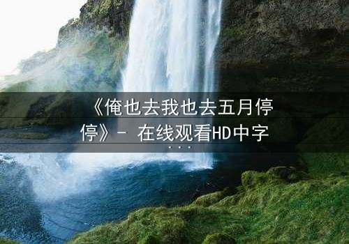 《俺也去我也去五月停停》- 在线观看HD中字 - 当命运按下暂停键,你敢重启吗?