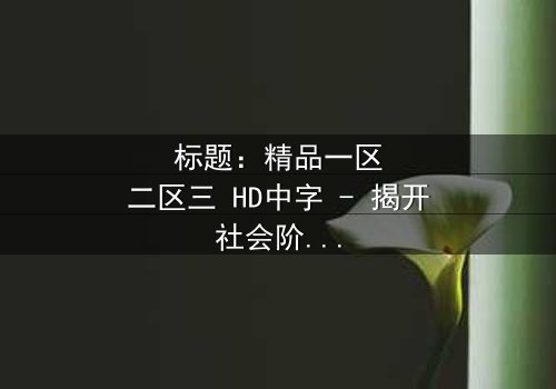 标题:精品一区二区三 HD中字 - 揭开社会阶层的隐秘战争