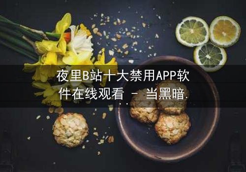 夜里B站十大禁用APP软件在线观看 - 当黑暗中的APP成为致命陷阱