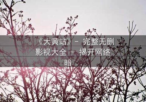 《大黄站》- 完整无删影视大全 - 揭开网络暗流的终极秘密