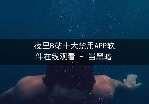 夜里B站十大禁用APP软件在线观看 - 当黑暗APP解锁你的秘密,你敢点击吗?
