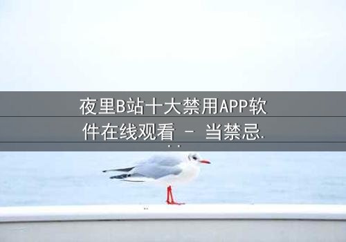 夜里B站十大禁用APP软件在线观看 - 当禁忌软件解锁深夜的致命诱惑