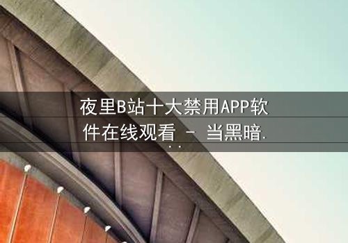 夜里B站十大禁用APP软件在线观看 - 当黑暗中的APP解锁了禁忌之门,你敢点击吗?