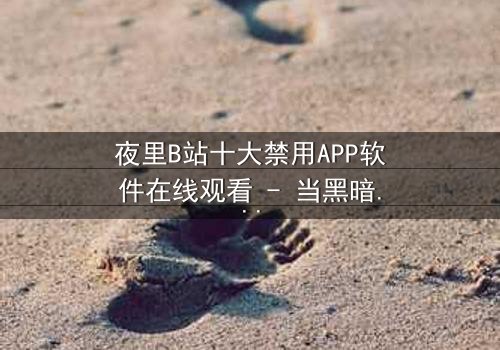 夜里B站十大禁用APP软件在线观看 - 当黑暗APP解锁禁忌,你敢点开吗?