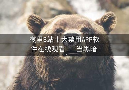 夜里B站十大禁用APP软件在线观看 - 当黑暗中的APP解锁禁忌之门,你敢点击吗?
