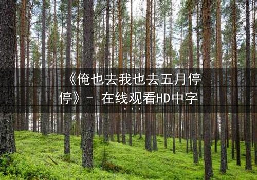 《俺也去我也去五月停停》- 在线观看HD中字 - 当五月停驻,命运能否重启?