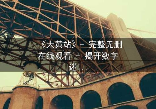 《大黄站》- 完整无删在线观看 - 揭开数字迷宫的致命诱惑