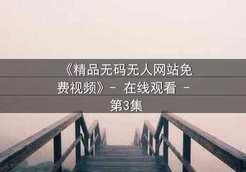 《精品无码无人网站免费视频》- 在线观看 - 第3集
