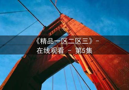 《精品一区二区三》-在线观看 - 第5集