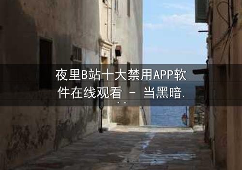 夜里B站十大禁用APP软件在线观看 - 当黑暗降临,你的手机屏幕将揭示什么秘密?