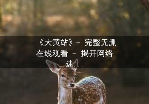 《大黄站》- 完整无删在线观看 - 揭开网络迷宫的致命诱惑
