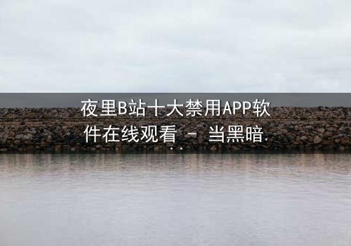 夜里B站十大禁用APP软件在线观看 - 当黑暗APP解锁禁忌,你敢点开吗?