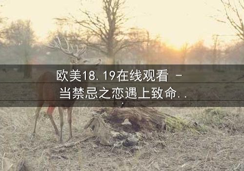 欧美18.19在线观看 - 当禁忌之恋遇上致命真相,你敢揭开吗?