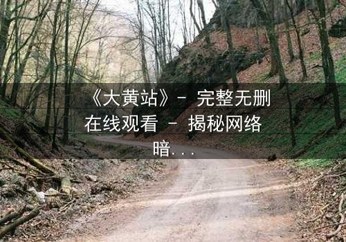《大黄站》- 完整无删在线观看 - 揭秘网络暗流中的生死博弈