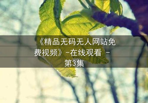 《精品无码无人网站免费视频》-在线观看 - 第3集