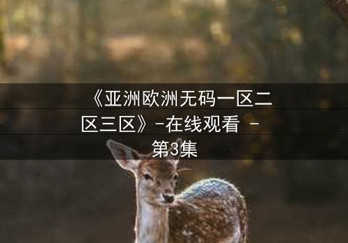 《亚洲欧洲无码一区二区三区》-在线观看 - 第3集