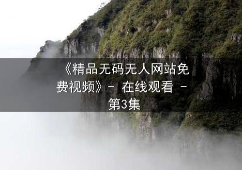 《精品无码无人网站免费视频》- 在线观看 - 第3集