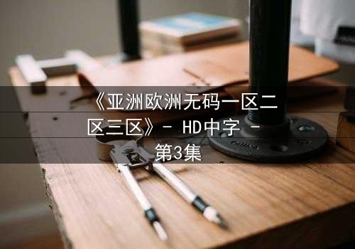 《亚洲欧洲无码一区二区三区》- HD中字 - 第3集