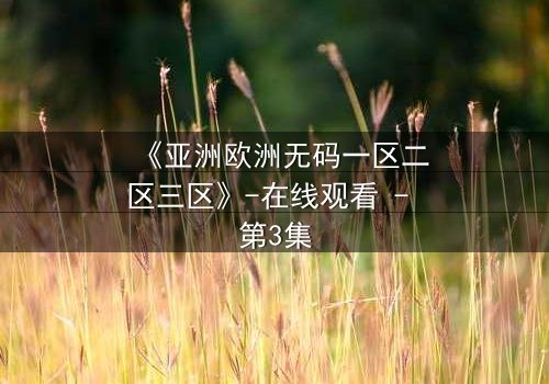 《亚洲欧洲无码一区二区三区》-在线观看 - 第3集