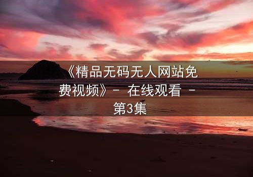 《精品无码无人网站免费视频》- 在线观看 - 第3集