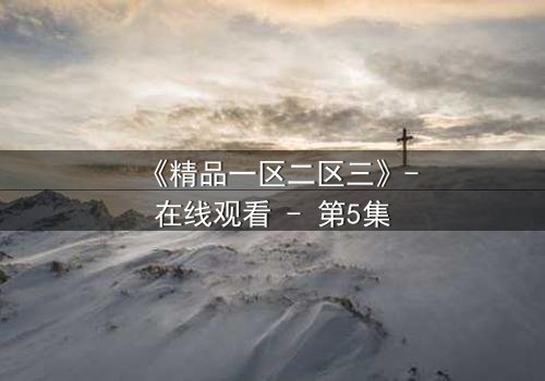 《精品一区二区三》-在线观看 - 第5集