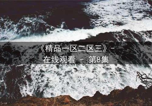 《精品一区二区三》- 在线观看 - 第8集
