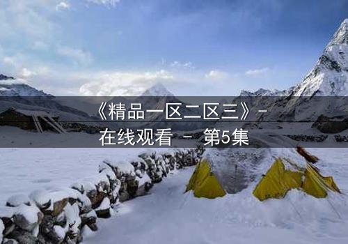 《精品一区二区三》-在线观看 - 第5集