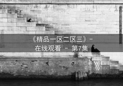 《精品一区二区三》- 在线观看 - 第7集