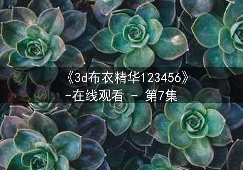 《3d布衣精华123456》-在线观看 - 第7集