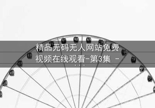 精品无码无人网站免费视频在线观看-第3集 - 一场数字迷宫的致命诱惑