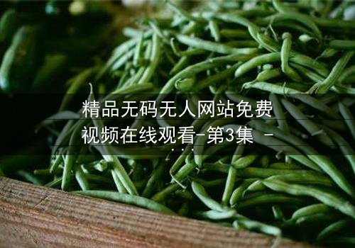 精品无码无人网站免费视频在线观看-第3集 - 一场无人知晓的视觉盛宴